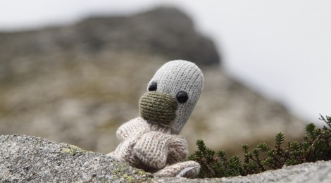 Lord Edward van Summit