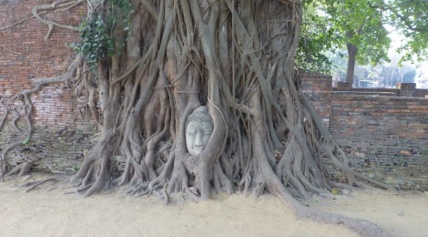 Ayuthaya- 'The room is closed for safety reaons' ?!?