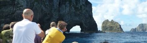 Paihia- Hole in the Rock und Delphine beobachten