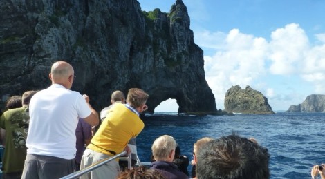 Paihia- Hole in the Rock und Delphine beobachten
