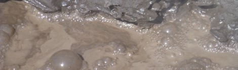 Rotorua - es stinkt!