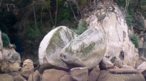 Abel Tasman Park