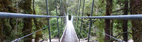 Punakaiki - die Pancake Rocks und der Jurrasic Park Walk