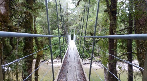 Punakaiki - die Pancake Rocks und der Jurrasic Park Walk