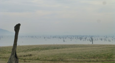 Mount Kosciuszko Park - Auszeit